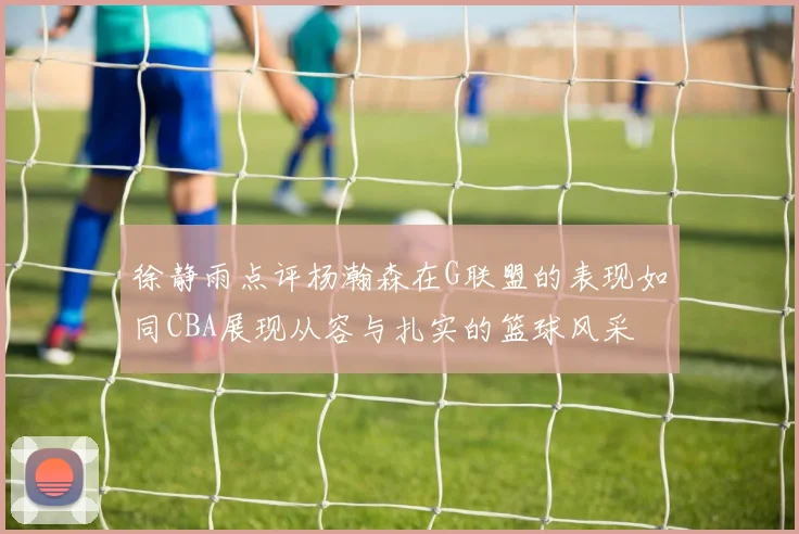 徐静雨点评杨瀚森在G联盟的表现如同CBA展现从容与扎实的篮球风采