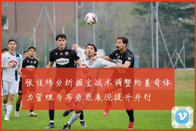张佳玮分析掘金战术调整约基奇体力管理与布劳恩表现提升并行