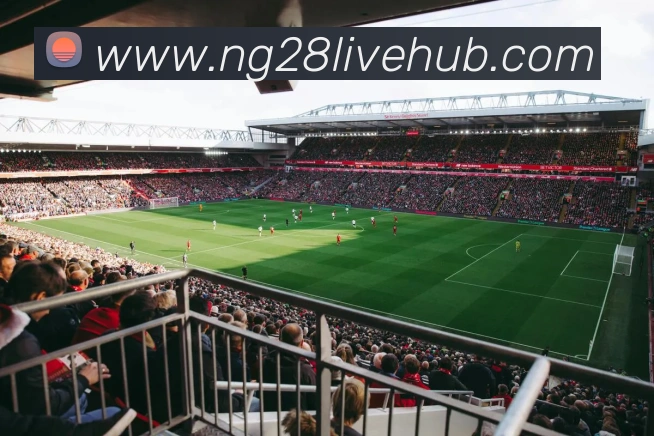 南宫28平台生态图